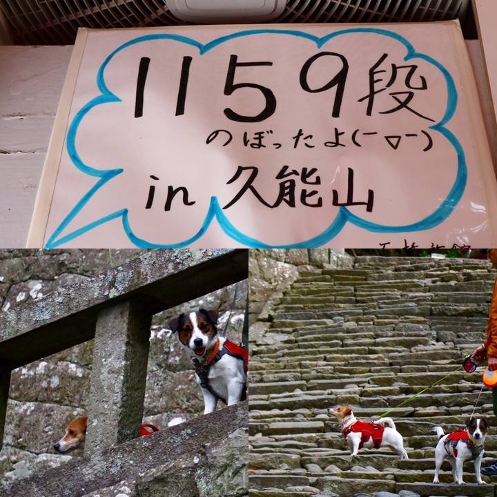 3a4a34ef 9b1d 4597 8283 bb02c86f907f 1550894993575