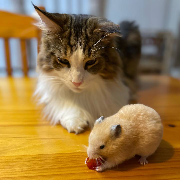 3a4a5d39 fc11 4857 abd2 8afb3a472eb1 1657913567895