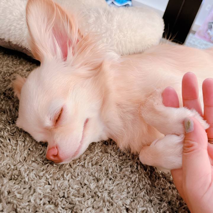 3a4a6cf0 0c4c 48a7 9b0b ef2748263884 1655871520171