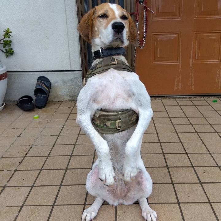 3a4aa61e 58c8 4c94 b6bf 6766f2571b22 1693361058433