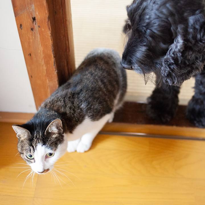 3a4ab828 d5c9 4540 8c4c 9080494438ba 1573182460168