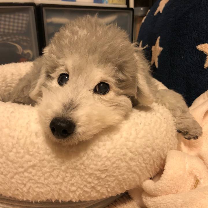 3a4acee0 11a2 49df 8b4e 77a7fd4e0a22 1584574631979