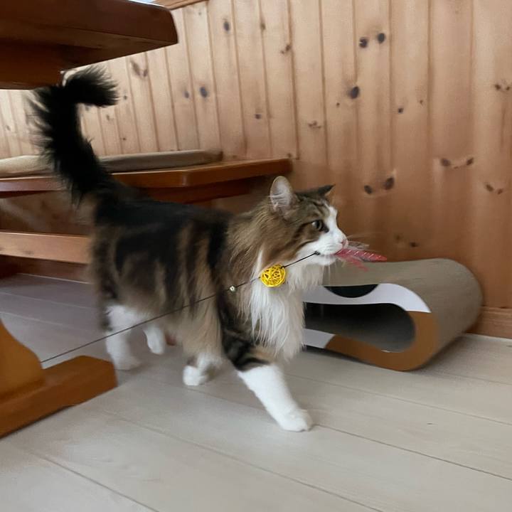 3a4af65a 89e9 4a89 a7a6 556277e1515d 1686090521278