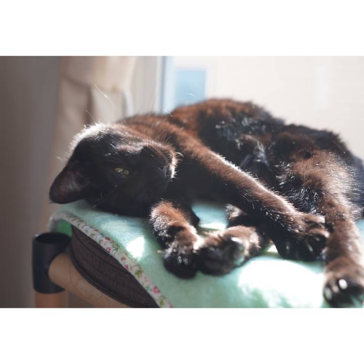 3a4afed8 19bc 4aa4 867f d80ca3340659 1605509850269