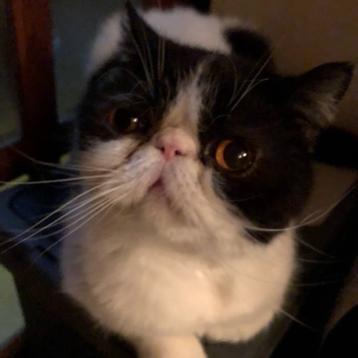 3a4b057e 4771 4120 bdd5 7cce5d591862 1553265556959