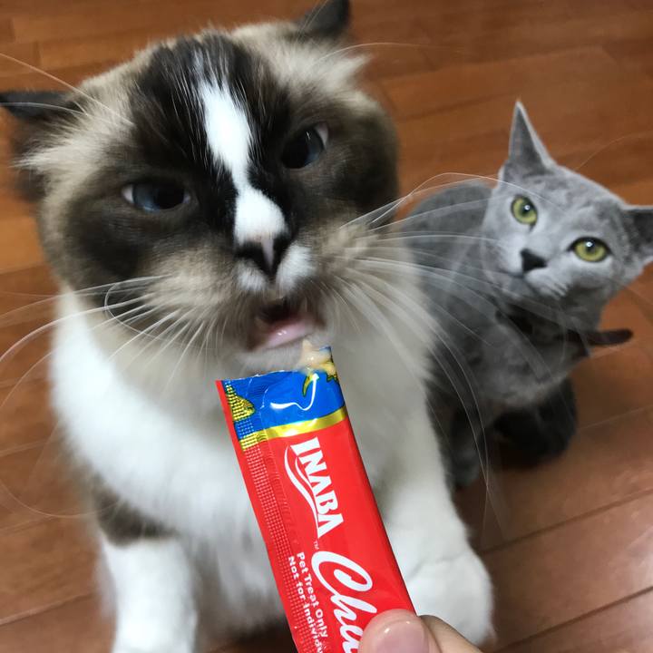 3a4b40e2 be06 4e8f ba6e 1cde4085fc47 1537222695535