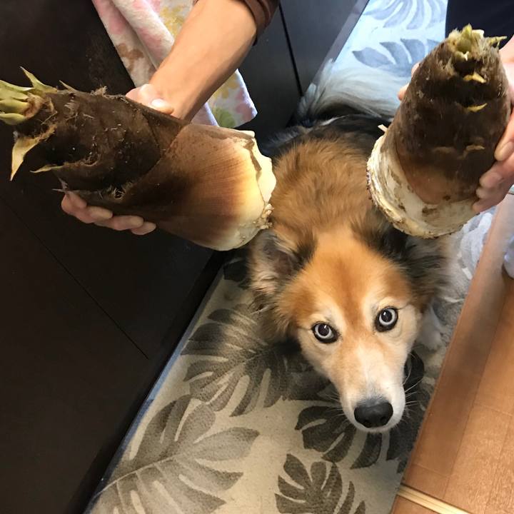 3a4b4433 b6e4 4d1d b6e5 e81956f7b9cd 1587628854064