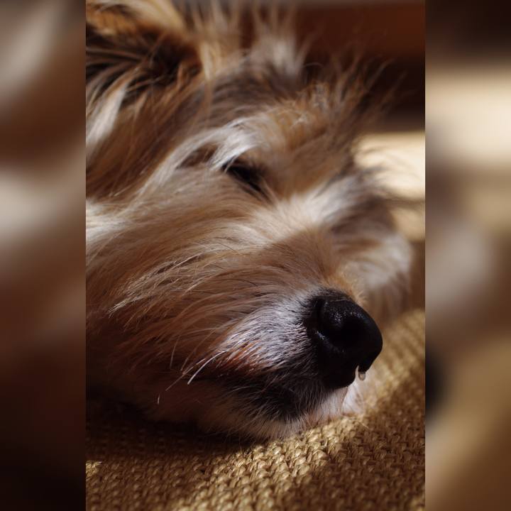 3a4b6e9e 2b7c 4bf7 b5f3 2d2a962ce089 1647304084547