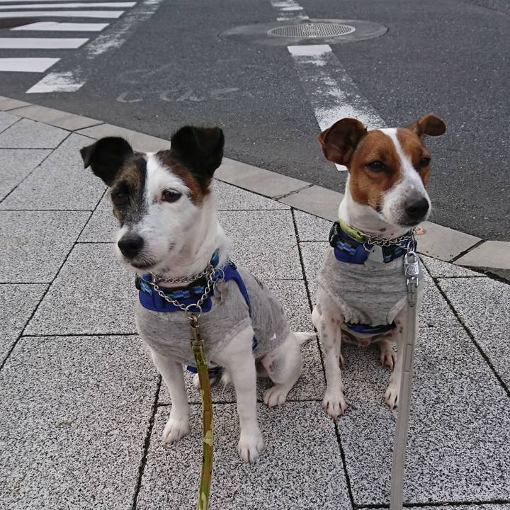 3a4b8fb7 5653 44f4 8c5d 2ada672b6d2a 1570659469879