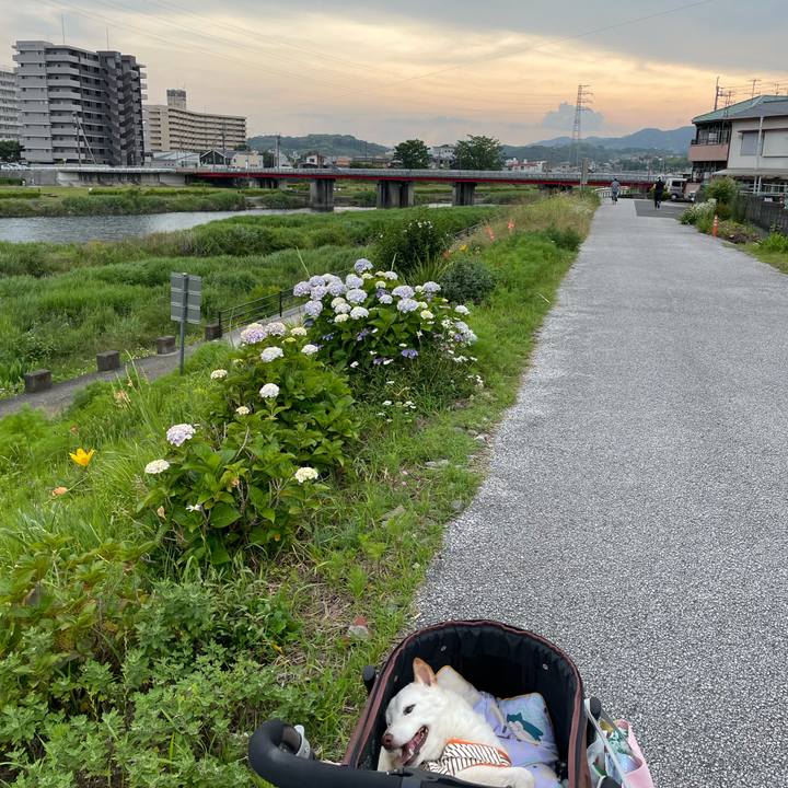 3a4baa1a 277c 47d7 9234 5182a7169202 1655043952646