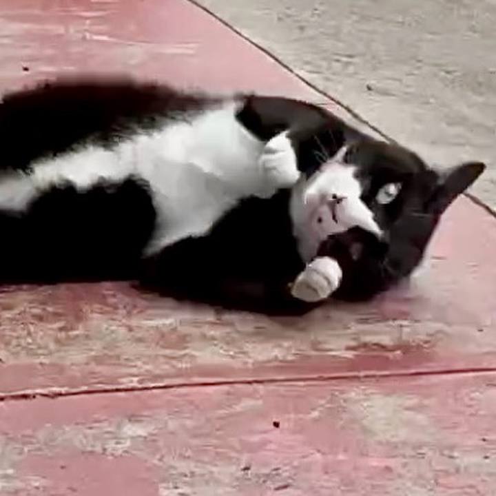 3a4bfbc3 530d 4eb8 aa41 c6172ce6f5e4 1749196296910