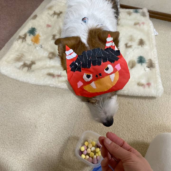 3a4bfca1 b30e 4509 87bf 013027738bc4 1738497156839