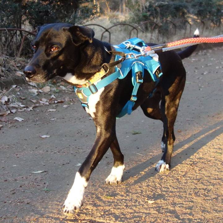 3a4c13ae dfd5 45c6 8327 090ce3af508e 1609460449543