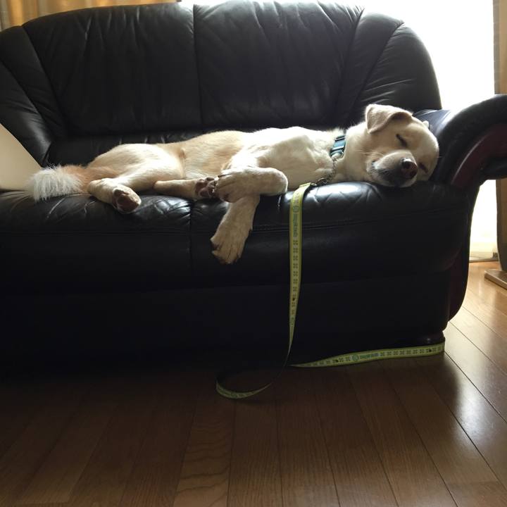 3a4ca8e9 2bbc 4e5f b50d e38853e7a162 1531040675582