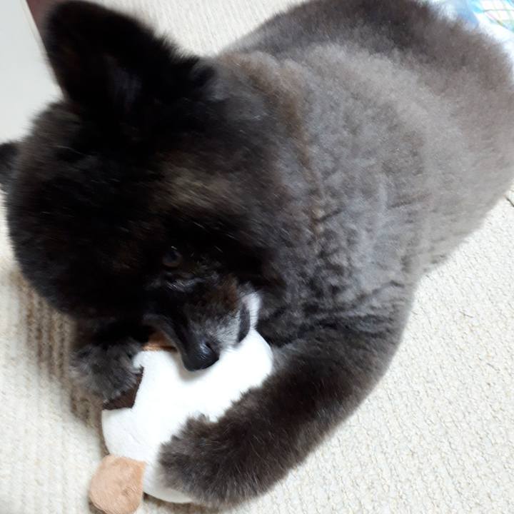 3a4ce6db a1c3 4dae b812 9ab4ddc1b157 1548891142098