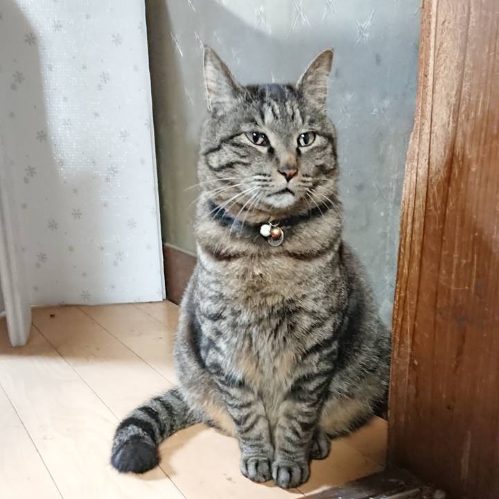 3a4d085b 58d0 4e6f a833 70c9a920be9b 1650540877337