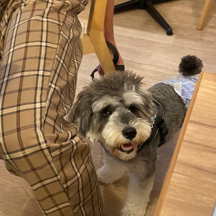 3a4d1660 11c1 43b0 b3a5 7ae32830c235 1592148574264