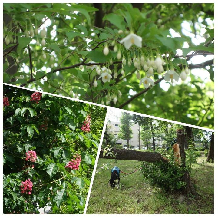 3a4d5270 998d 45fa 9a91 5fcf66646003 1620174492531