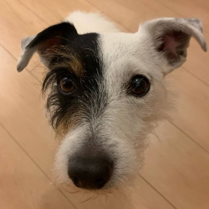 3a4d685e 3bee 4308 abcd 9c85439a20bc 1618828958367