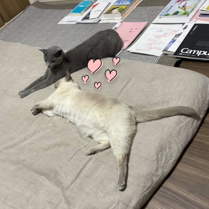 3a4d9a07 fc4b 496a 8e81 e4fe38762e4e 1747481642027