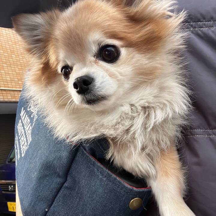 3a4dcaaf 419f 4606 907a 560afbc0b96b 1770288217876