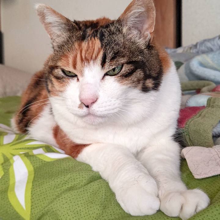 3a4dcb7b a3c3 45a6 8113 11294e0036f9 1644636053112