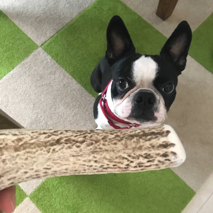 3a4e1c34 6697 400f a5ff 8d33d738bfd8 1531989437116