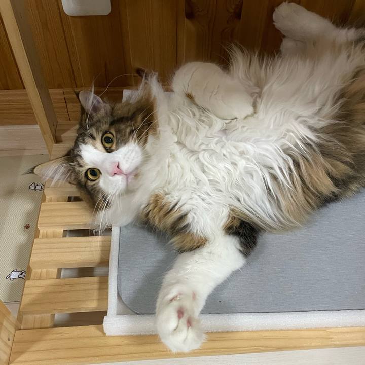 3a4e2f70 c577 4a3f 8dc7 97a6c031b377 1644396736145