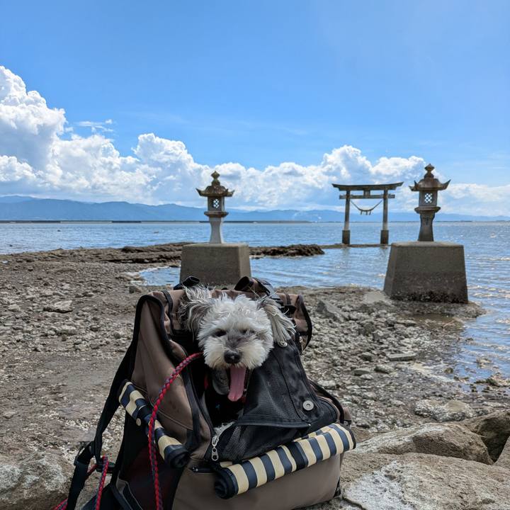 3a4e4226 8543 46ac ae34 e011ab4f3982 1757916885008