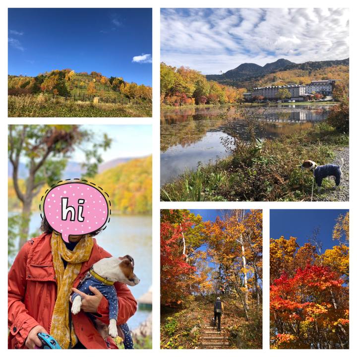 3a4eabbf 8015 44cf b11d 75f65ae15146 1602842416038