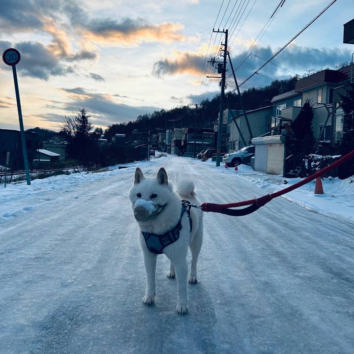 3a4eda40 841a 40dd 8b4e 3adf187d67a4 1732055127497