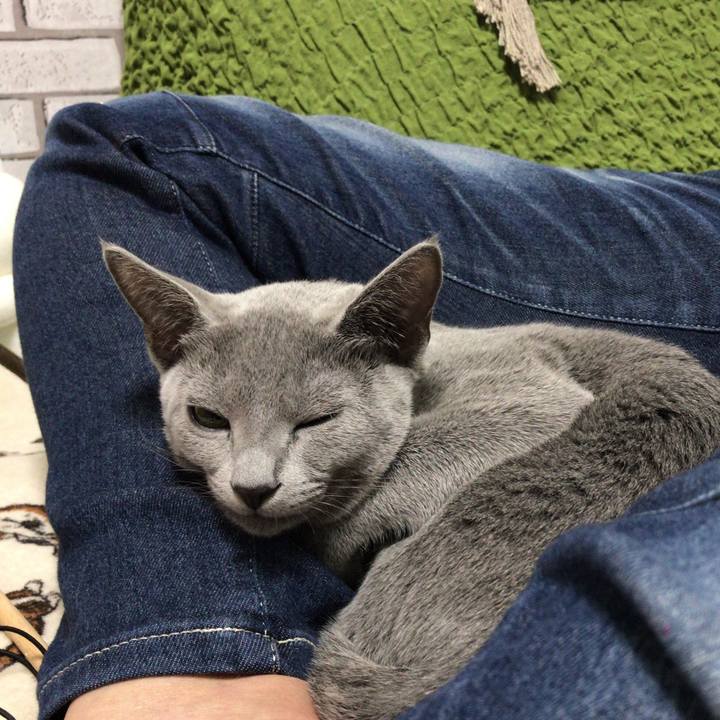 3a4ef7f1 6b34 45a9 a8ee a6128e146d65 1508715327011