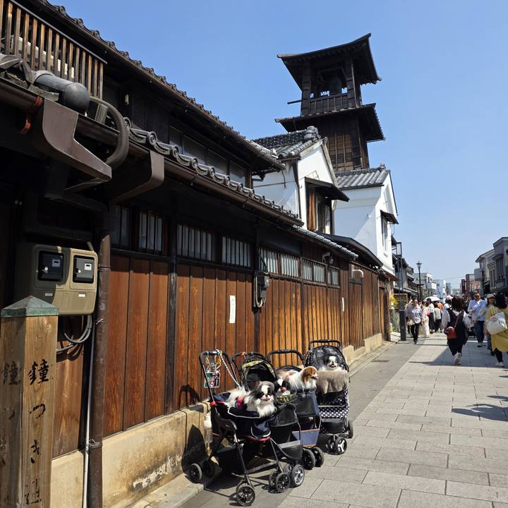 3a4f523e f37d 4a76 819c 3b8f476d4813 1742813697678