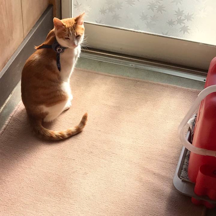 3a4f5c7a cc57 4004 b140 ef6dc65b9b6d 1513136917920