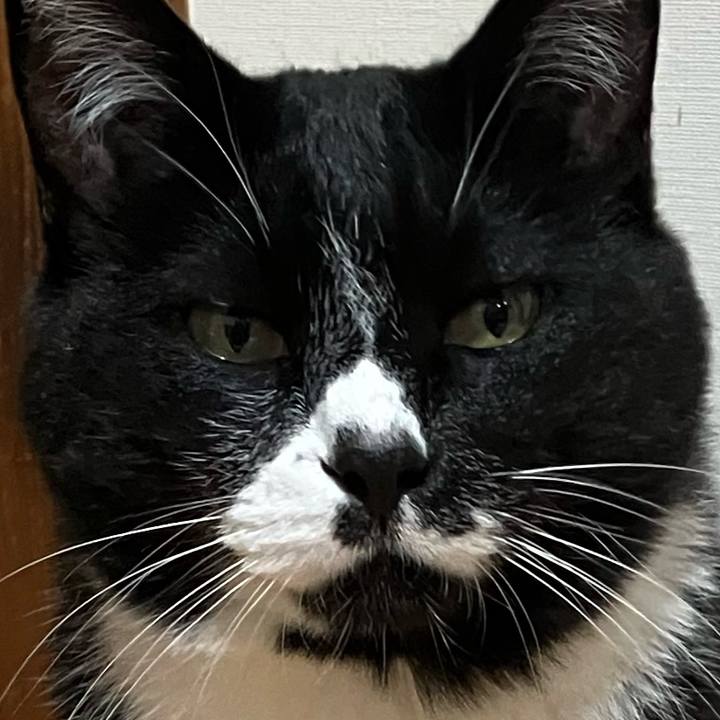 3a4f7e7b 1e45 45e6 a540 48151cb8fcad 1760776715055