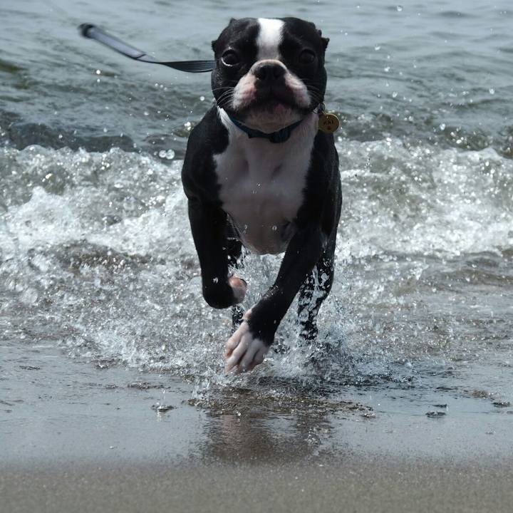 3a4fb4ce 865a 455f a044 f2eb8afb42bd 1537159136613