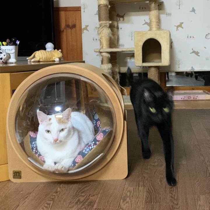 3a4fbf57 91fd 4106 a7aa d4cdd19f119f 1617083724382