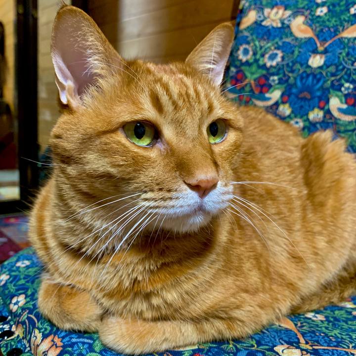 3a500a74 5798 4554 9a28 fbc785ccd290 1616845632160