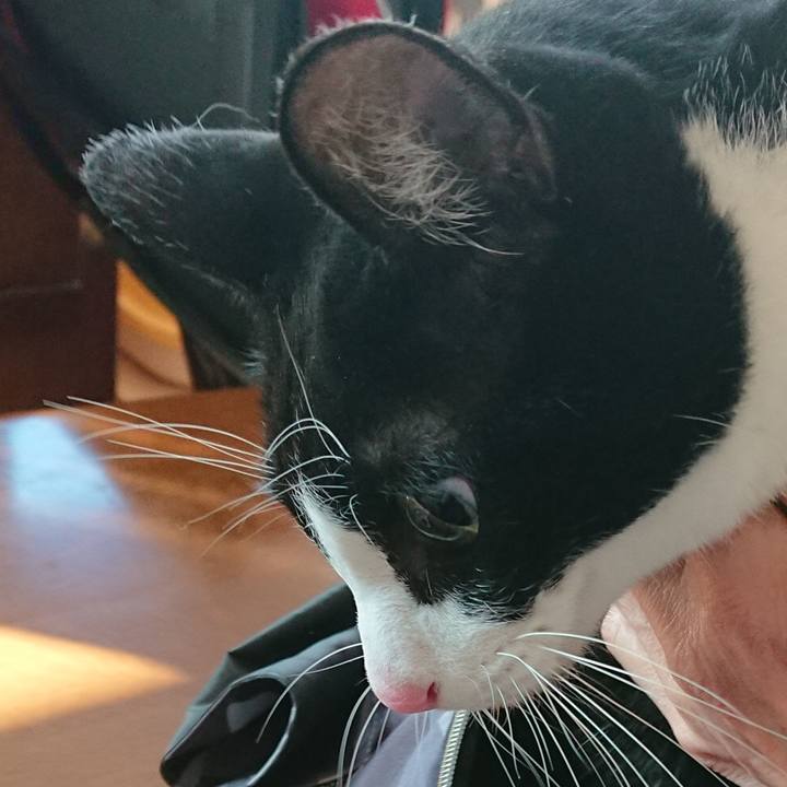 3a500abc fd39 4a66 ad5c cbf9fb73c92f 1674866369010