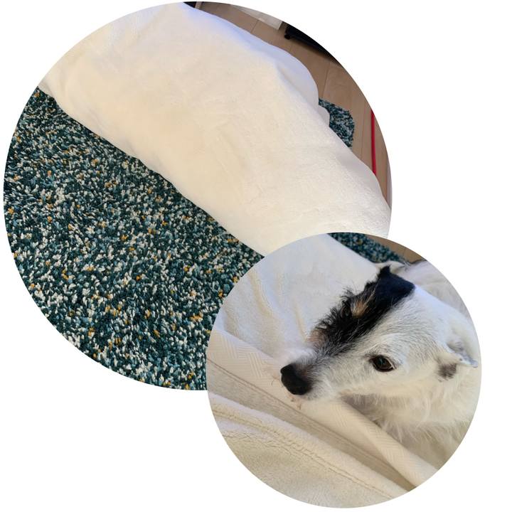 3a5026ad 17a8 45e6 9b43 fd04a07ad33c 1726033470304