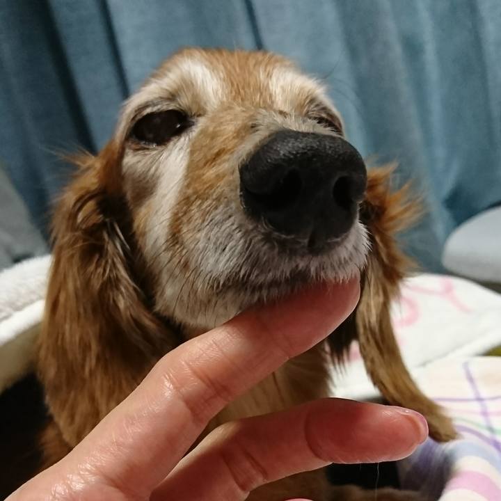 3a5076dd b55d 42eb 83d8 56ca465b4748 1519653883720