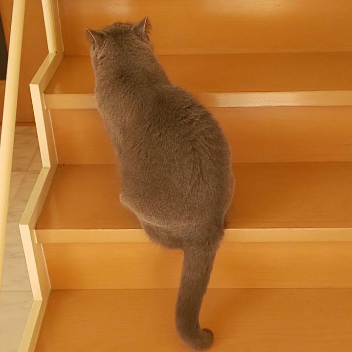 3a50abd6 b99a 413d a82a 7992df325152 1575510119068