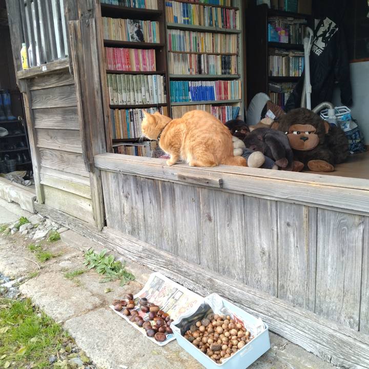 3a50ac44 498f 42d8 8083 f4ead0ccaf53 1667719519995