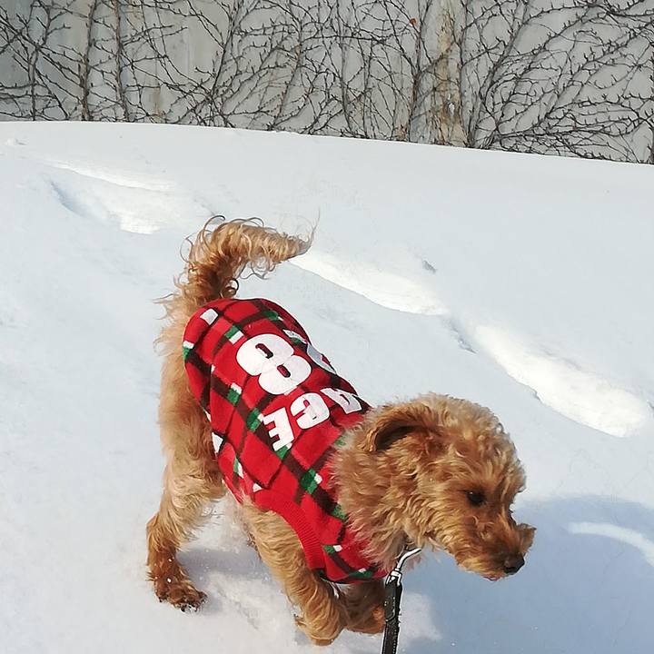 3a511463 33b9 457d abb3 8d431b85a0d8 1551593330760