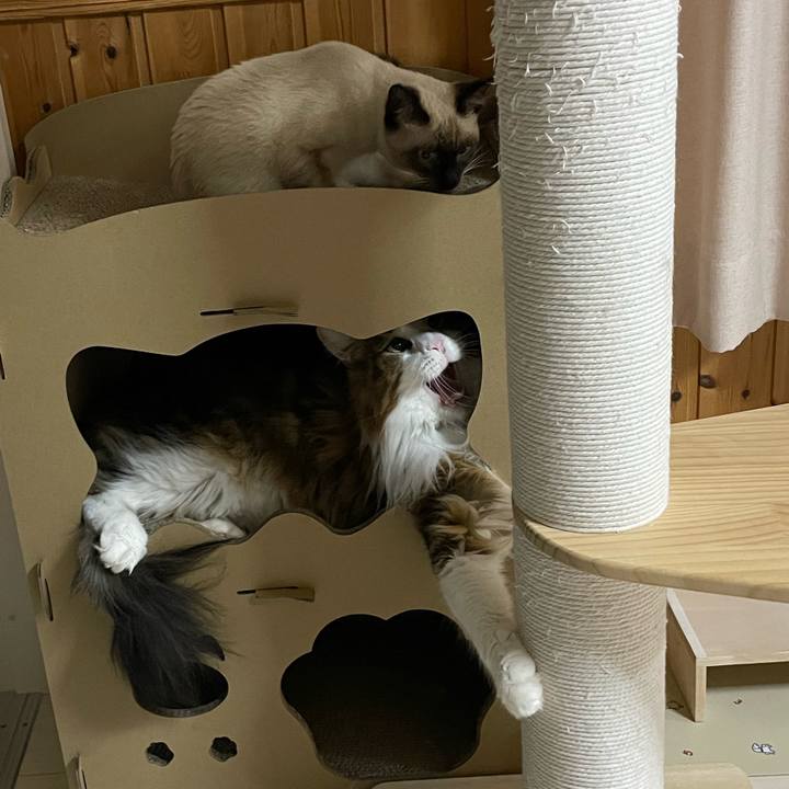 3a51203c f044 4774 a3d6 4a97d6c095d5 1700768089910