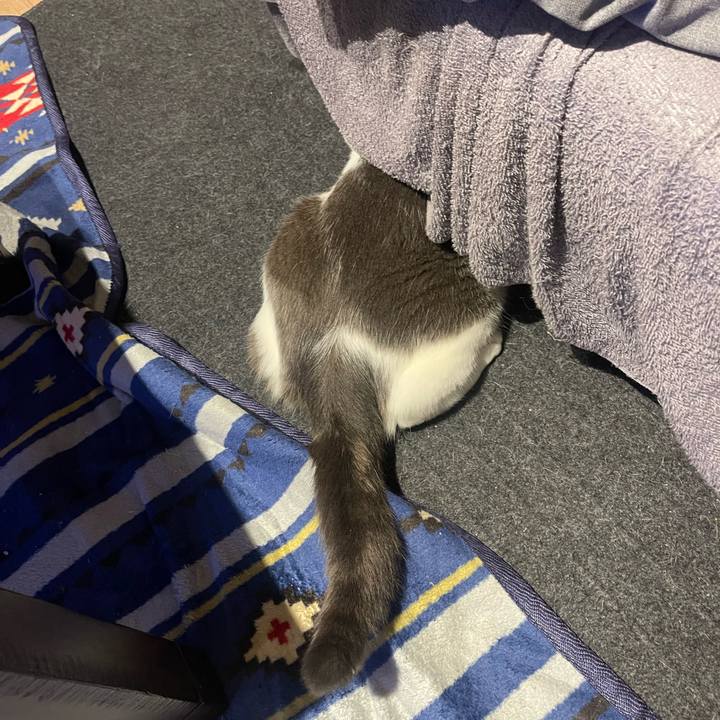 3a513e1a f1ec 48ab bc65 9a8527e9c691 1652615091086