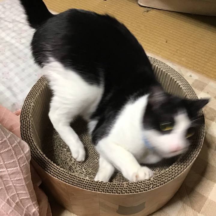 3a516c14 0d39 4766 a4e1 929a25eaea2d 1698570983027