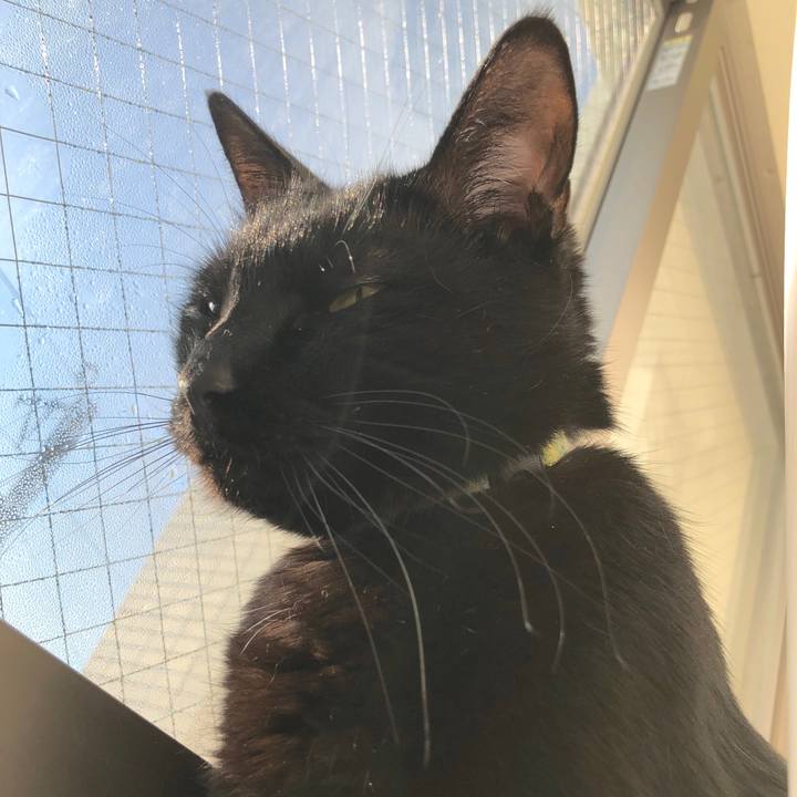 3a5181aa 9975 4544 a452 ac09f7d56c72 1550491541955