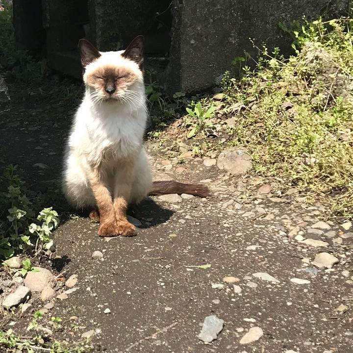 3a51b5e6 ec7b 4f4a 925c b73ecc19f160 1526002727667