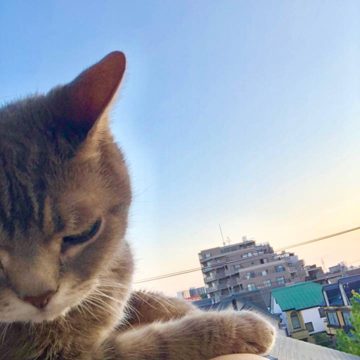 3a51bb11 ec92 4ff2 8152 f2ee6066d15a 1564911455353